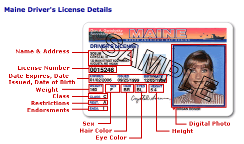 Maine's Driver License example